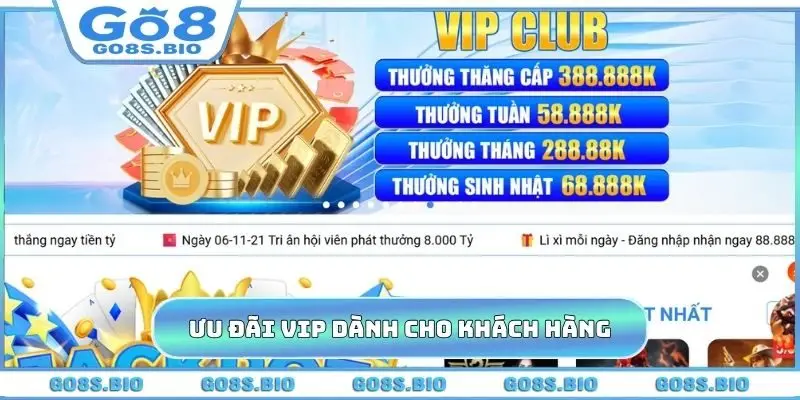 Ưu đãi VIP dành cho khách hàng trung thành