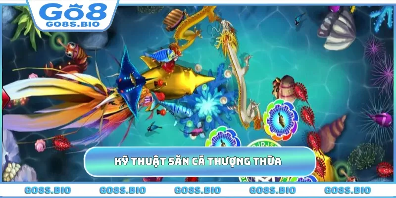 Kỹ thuật săn cá thượng thừa